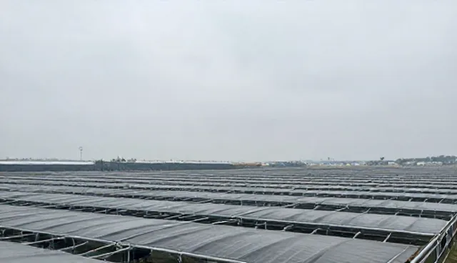 环保型表面活性剂在高温场景下的耐温性能分析